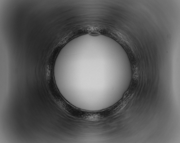 X0000092240456200710121240