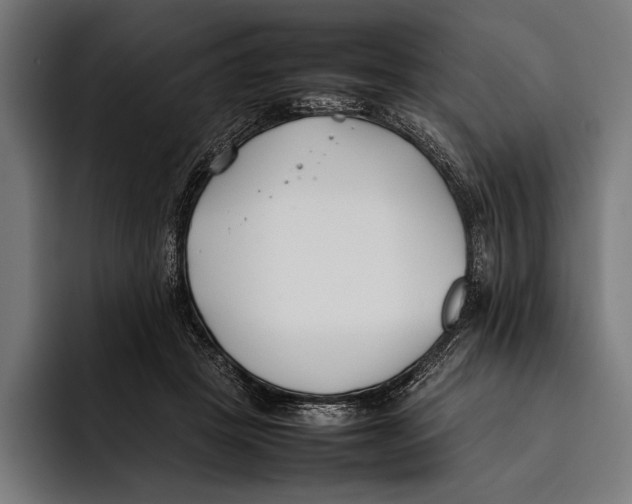 X0000092240457200710121240
