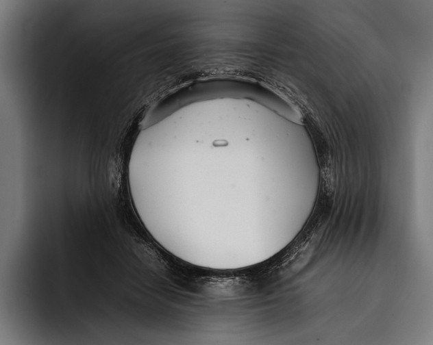 X0000092240458200710121240