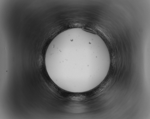 X0000092240459200710121240