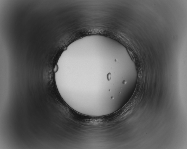 X0000092240462200710121240