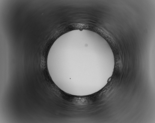 X0000092240469200710121240