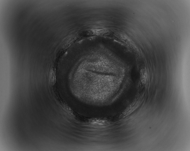 X0000092240471200710121240