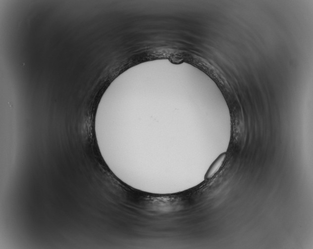 X0000092240473200710121240