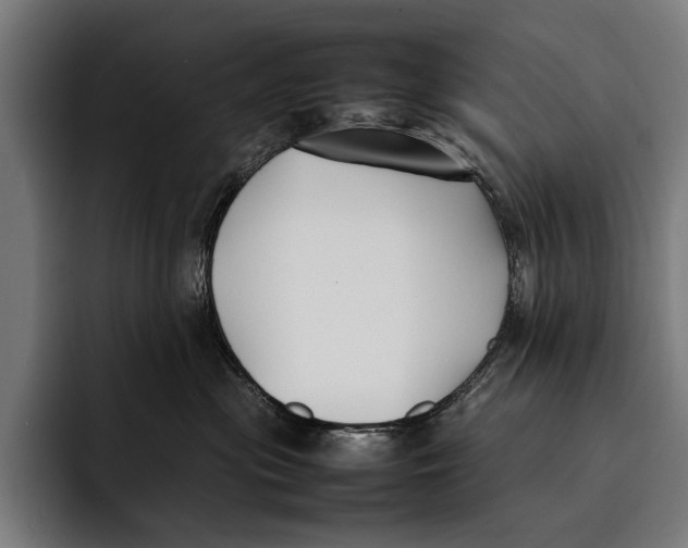 X0000092240477200710121240