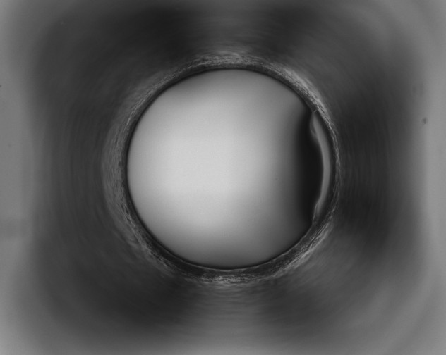 X0000092240481200710121239