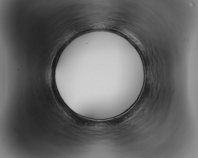 X0000092240485200710121239