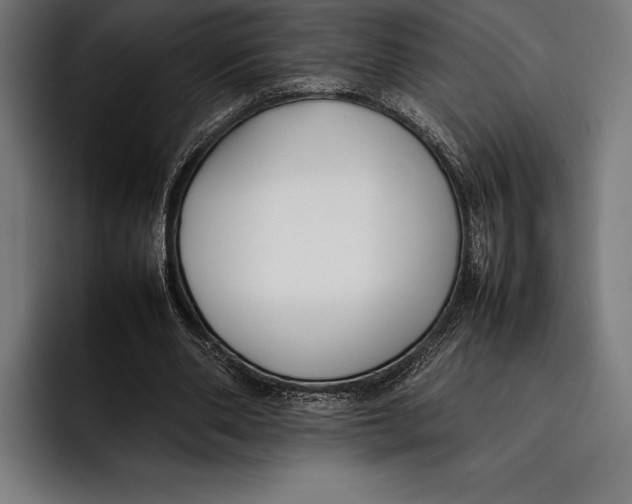 X0000092240486200710121239