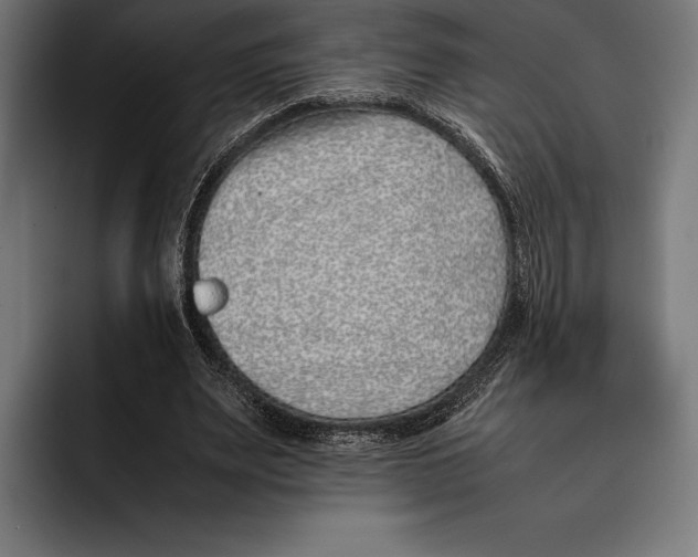 X0000092240487200710121239