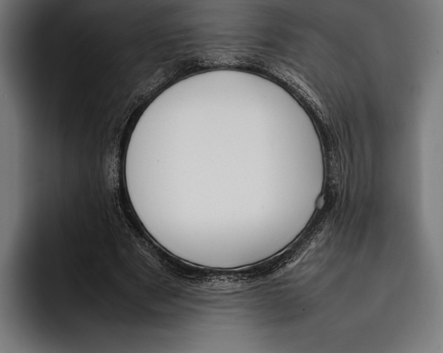 X0000092240489200710121239