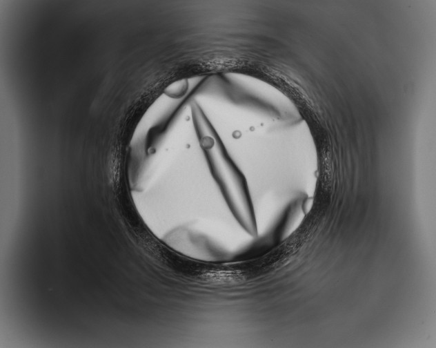 X0000092240499200710121239