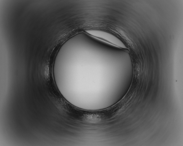 X0000092240500200710121239
