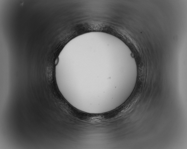 X0000092240505200710121239