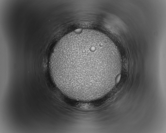 X0000092240507200710121239