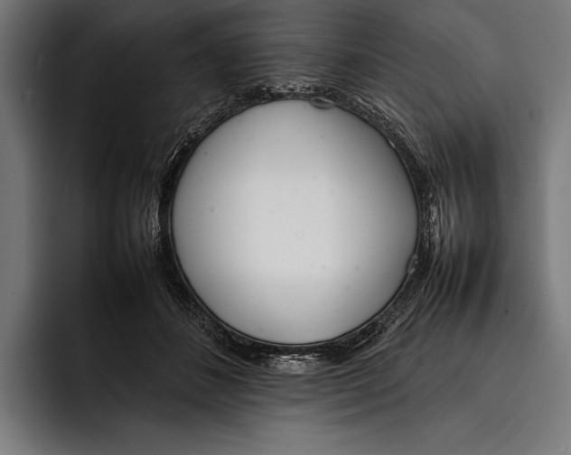 X0000092240508200710121239