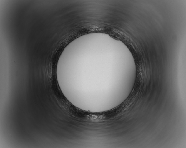 X0000092240512200710121239