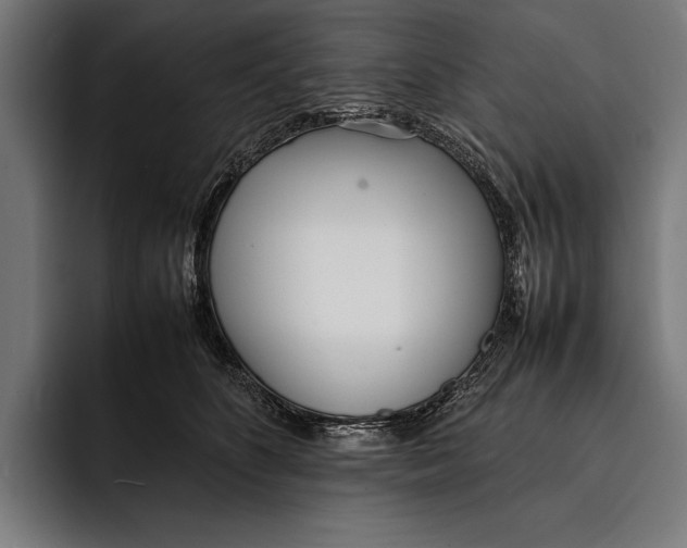X0000092240516200710121239