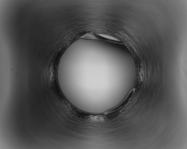 X0000092240520200710121239