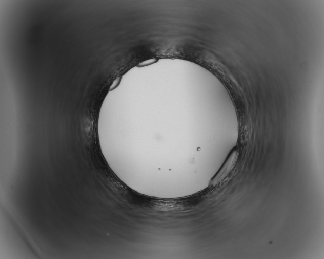 X0000092240521200710121239