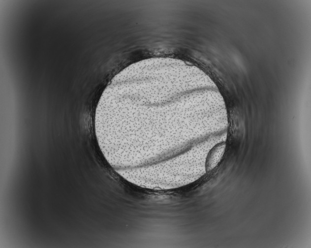 X0000092240523200710121239