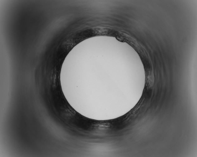X0000092240525200710121239
