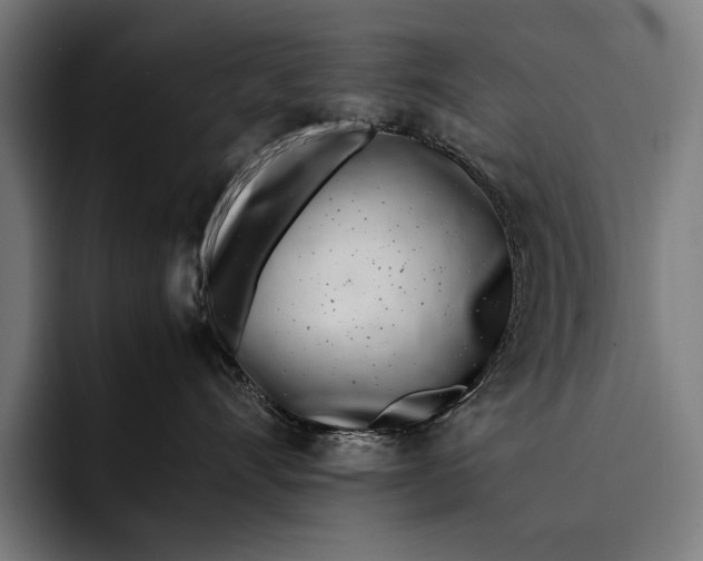 X0000092240528200710121239