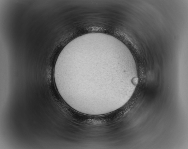 X0000092240545200710121238