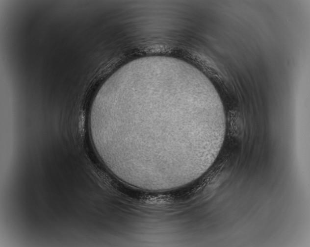 X0000092240550200710121238