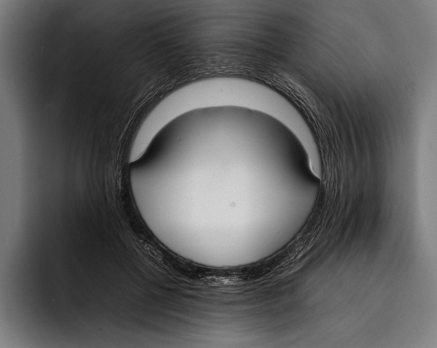 X0000092240552200710121238
