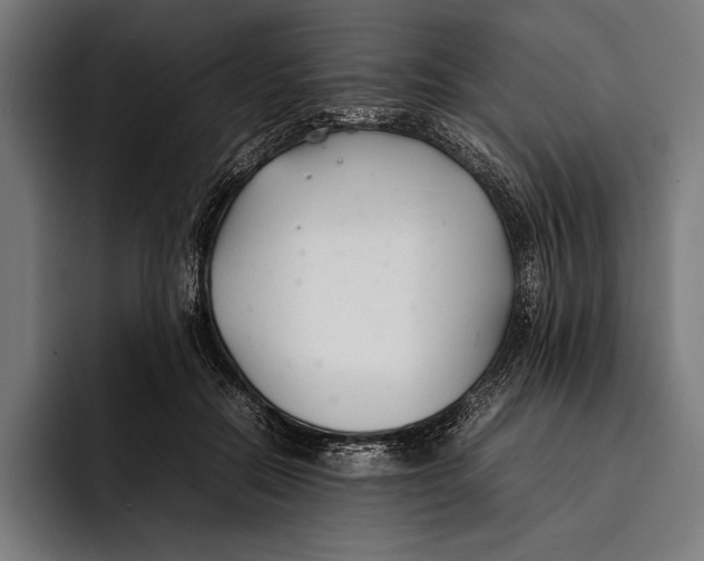 X0000092240554200710121238