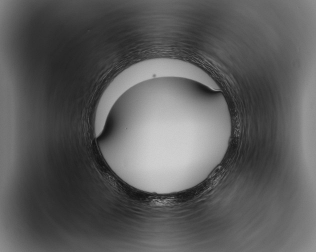 X0000092240560200710121238
