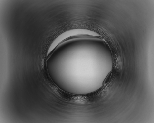 X0000092240562200710121238