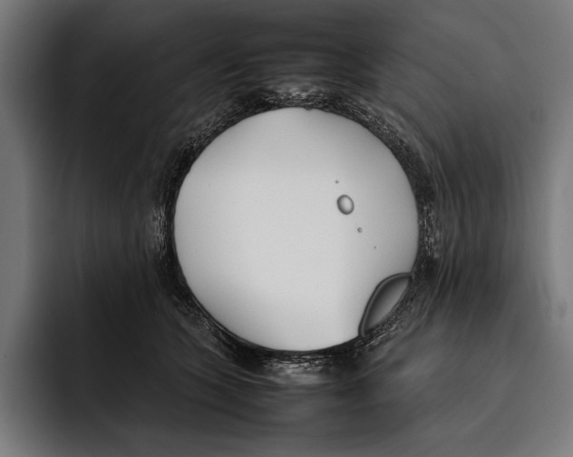X0000092240563200710121239