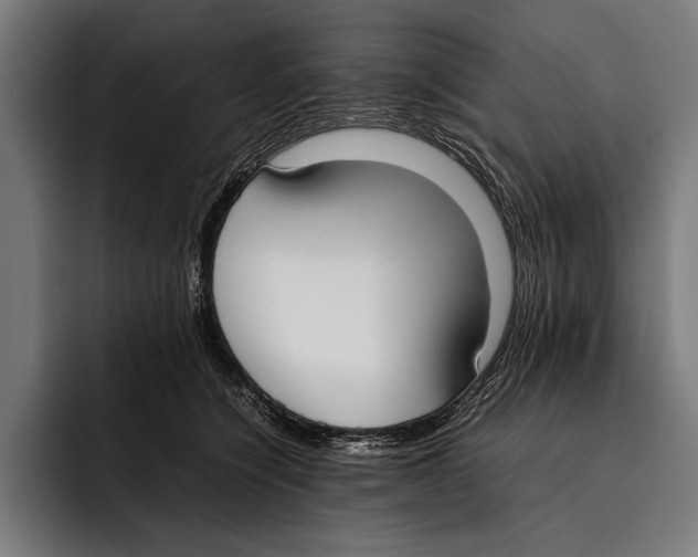 X0000092240564200710121239