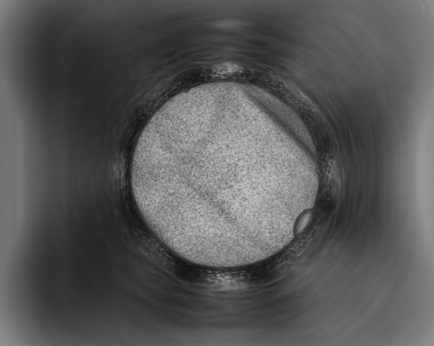X0000092240565200710121239