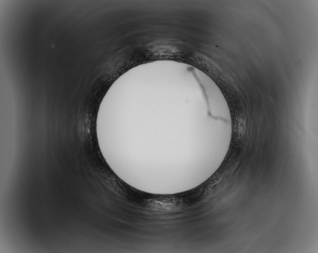 X0000092240567200710121239