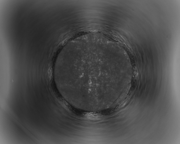 X0000092240568200710121239