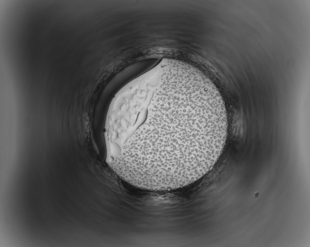 X0000092240569200710121239