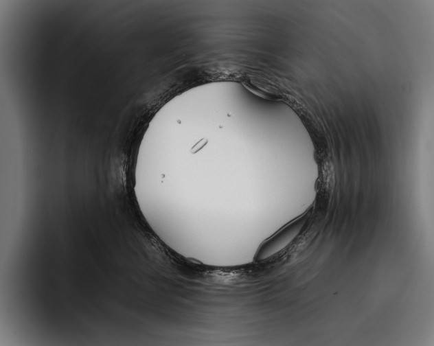 X0000092240570200710121239