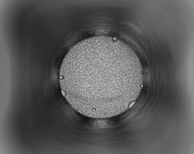 X0000092240573200710121239