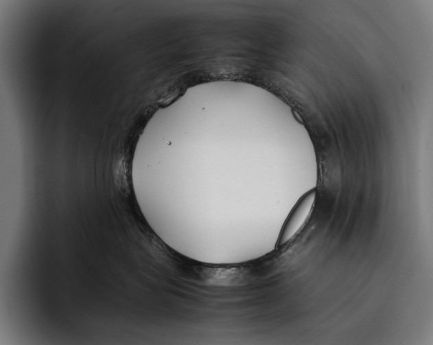 X0000092240575200710121239