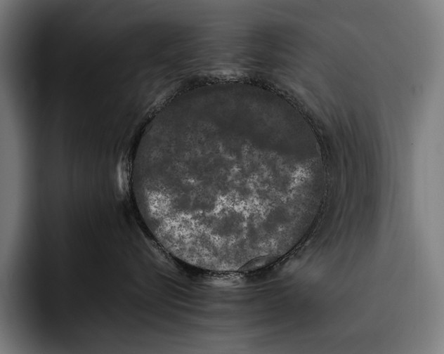 X0000092240576200710121239