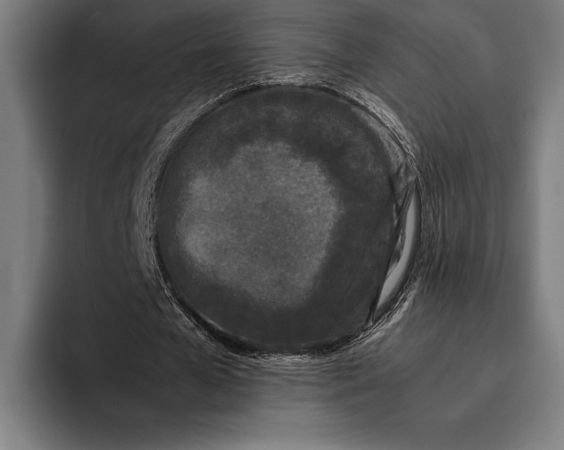 X0000092240577200710121238