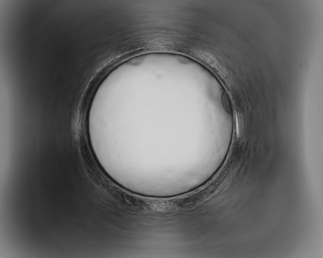 X0000092240579200710121238
