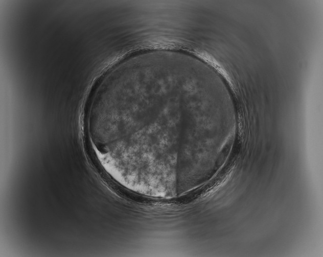 X0000092240581200710121238