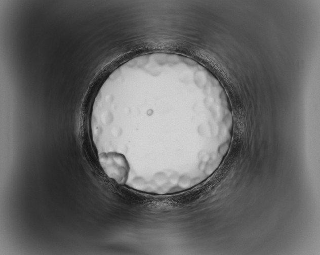 X0000092240583200710121238