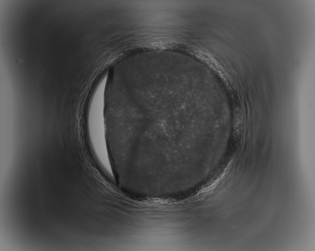 X0000092240585200710121238