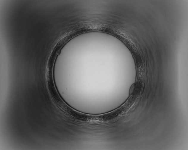 X0000092240587200710121238
