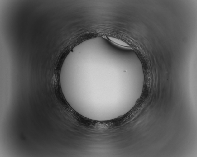 X0000092240613200710121238