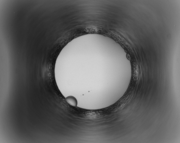 X0000092240616200710121238